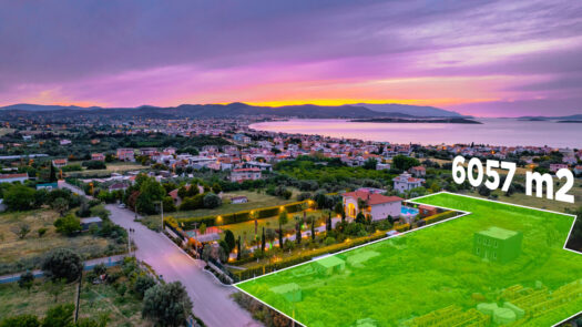 URLA’DA ÖZEL LOKASYON! DENİZE VE KOLEJLERE YAKIN YOLA CEPHELİ ARSA!